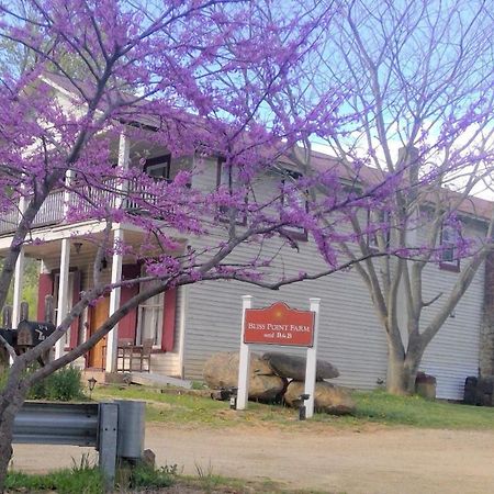 Bliss Point Farm And B&B, Llc Earlysville Exterior foto